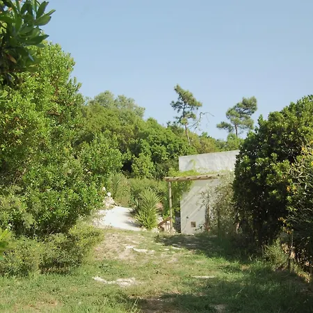 In With Private Pool, Cleaning Included Алкобаса